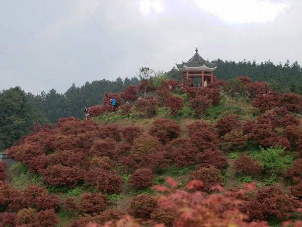 巴南五洲生态园3.jpg