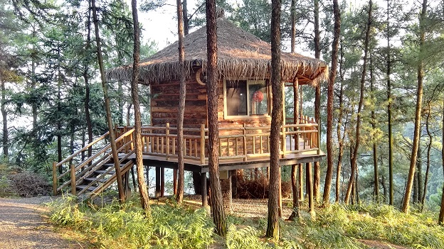 重庆巴南安澜大来山树屋