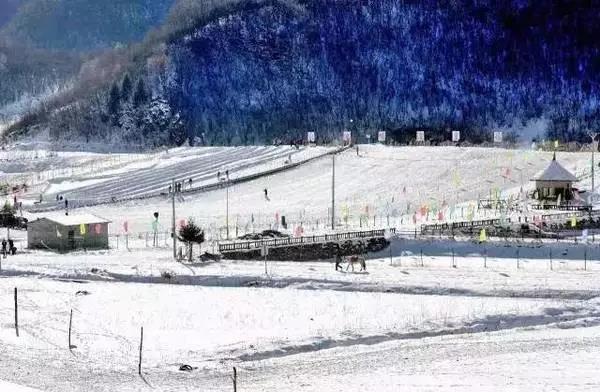 嫿¾äºï¼éåºæå¥½èçæ»éªåºé½å¨è¿é