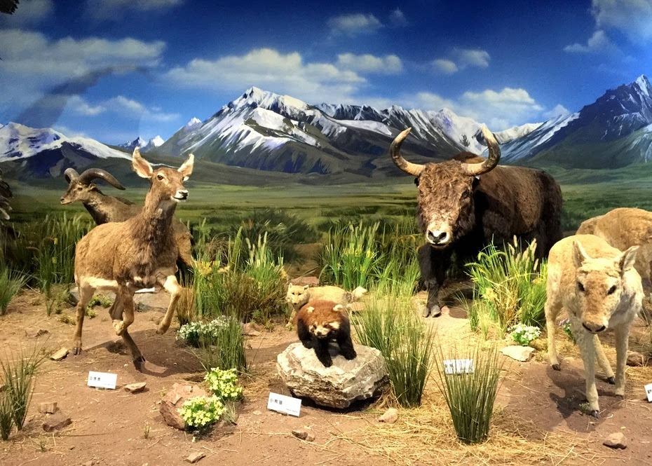 自然.jpeg 自然.jpeg