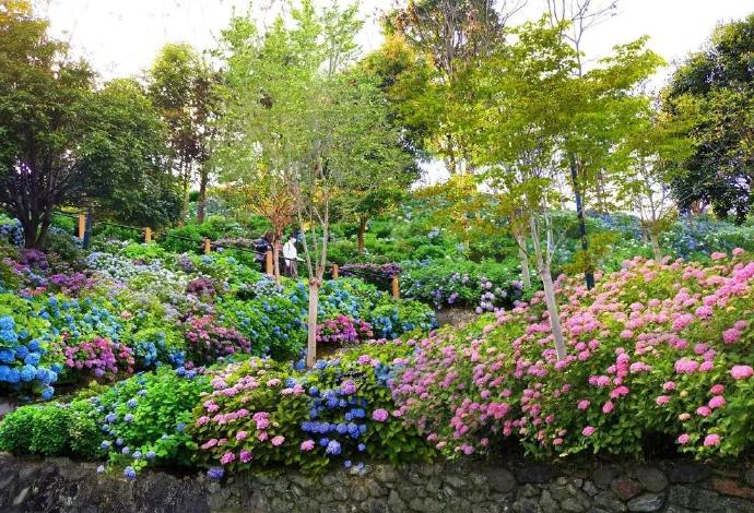 7ee4a769ly1gewpde2zp1j20u00kg7bf.jpg 7ee4a769ly1gewpde2zp1j20u00kg7bf.jpg