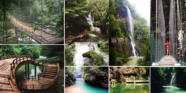 timg (22).jpg timg (22).jpg